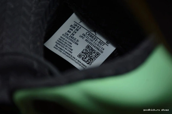 5 SE CK6631-307 OREGON AIR CK6631-307 JORDAN RETRO 0301